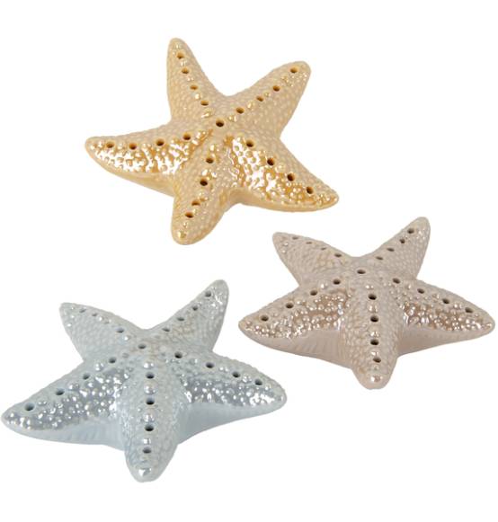 Bomboniera Lampada led astella marina tema mare novità originale